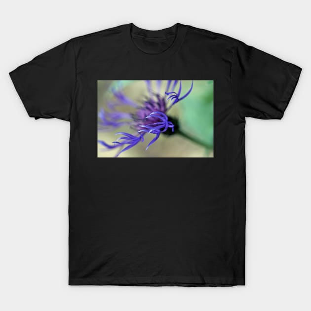 Cornflower Tendrils T-Shirt by gracethescene